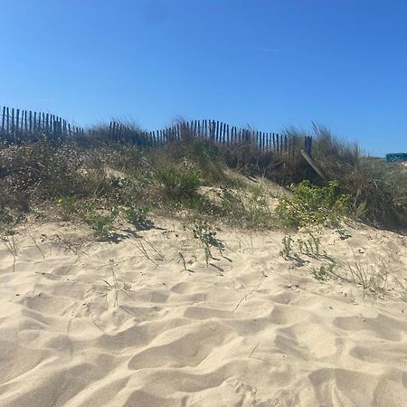 Vue Sur Dunes ! Сангатт Экстерьер фото