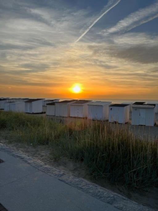 Vue Sur Dunes ! Сангатт Экстерьер фото