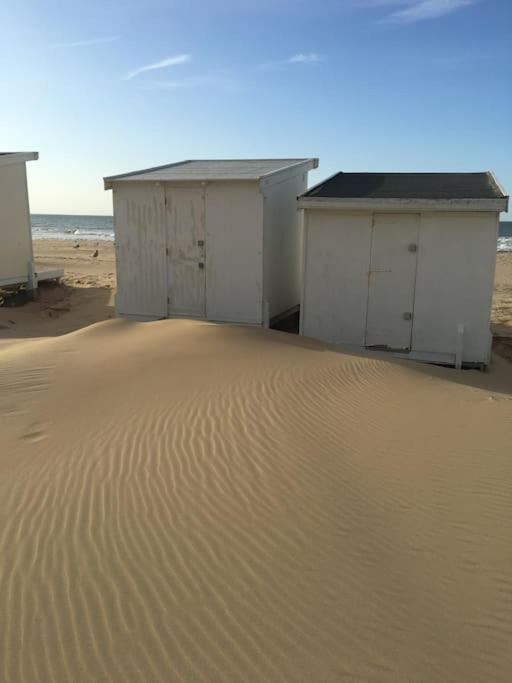 Vue Sur Dunes ! Сангатт Экстерьер фото
