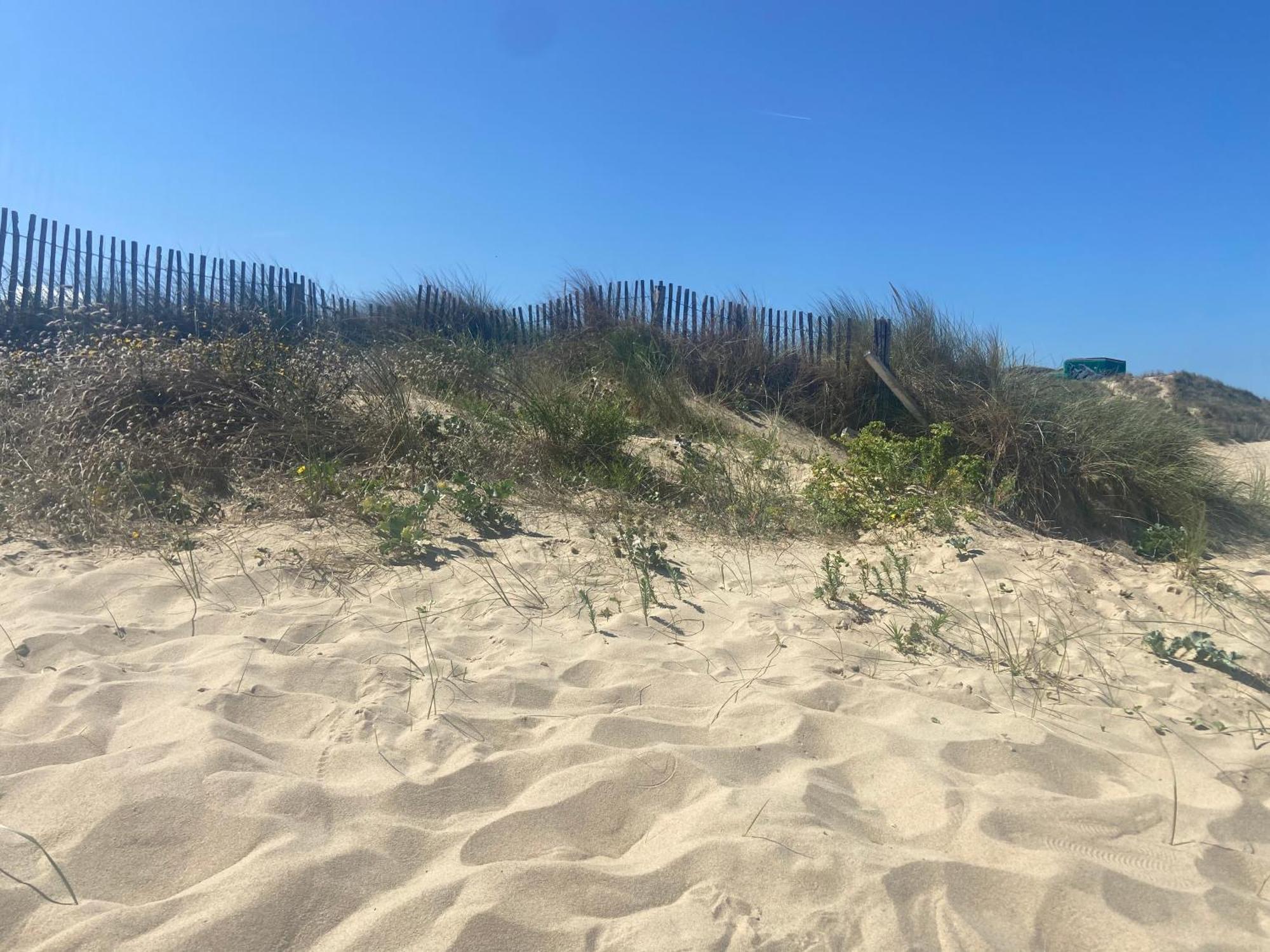 Vue Sur Dunes ! Сангатт Экстерьер фото